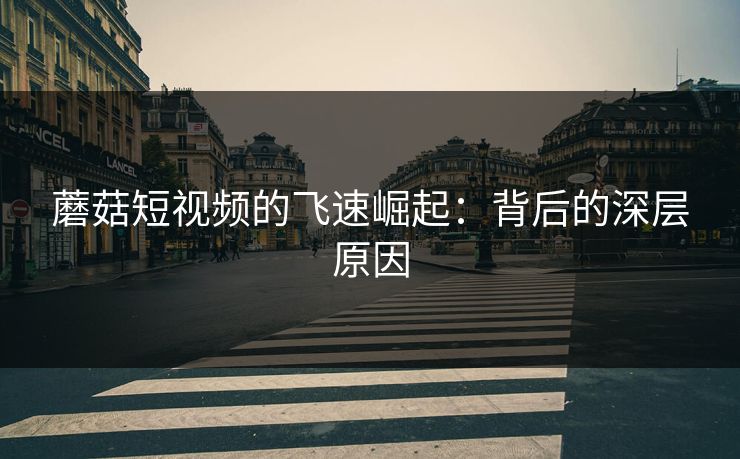 蘑菇短视频的飞速崛起:背后的深层原因 第1张 蘑菇短视频的飞速崛起:背后的深层原因 第1张