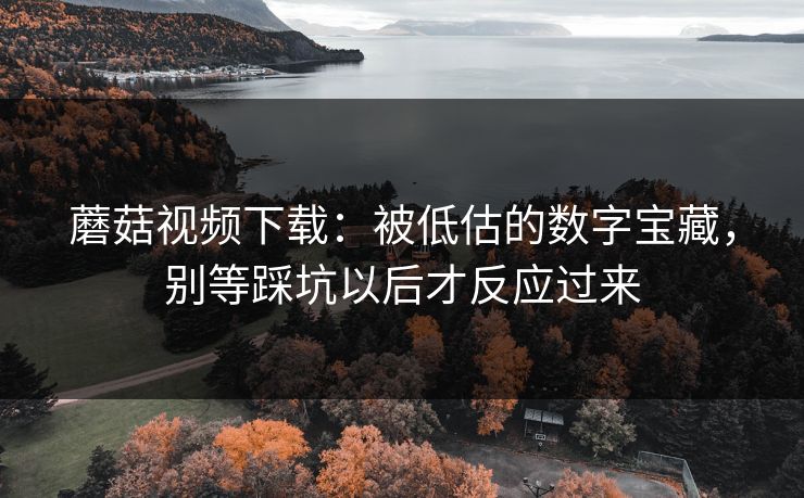 蘑菇视频下载：被低估的数字宝藏，别等踩坑以后才反应过来  第1张
