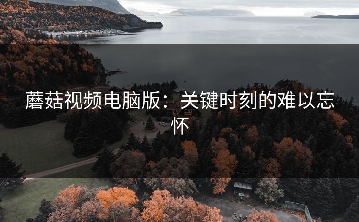 蘑菇视频电脑版：关键时刻的难以忘怀  第1张