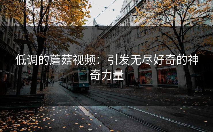 低调的蘑菇视频：引发无尽好奇的神奇力量