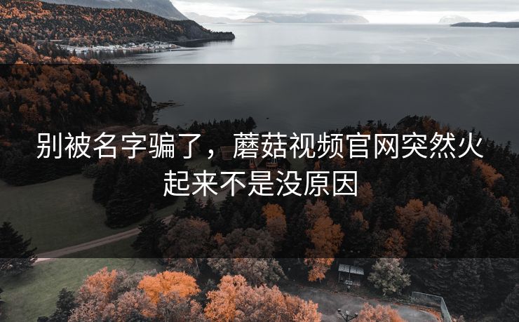 别被名字骗了，蘑菇视频官网突然火起来不是没原因  第1张
