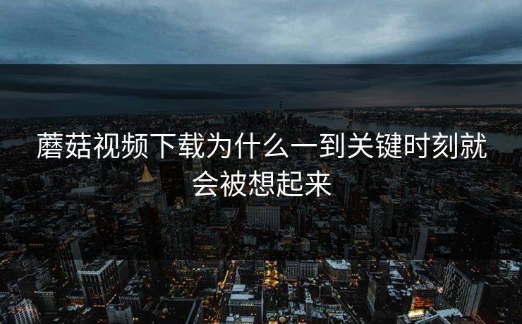 蘑菇视频下载为什么一到关键时刻就会被想起来  第1张