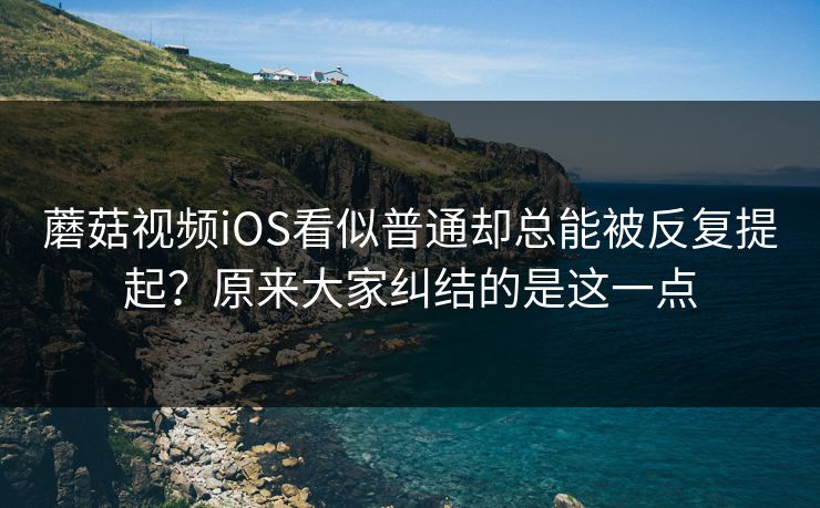 蘑菇视频iOS看似普通却总能被反复提起？原来大家纠结的是这一点  第1张