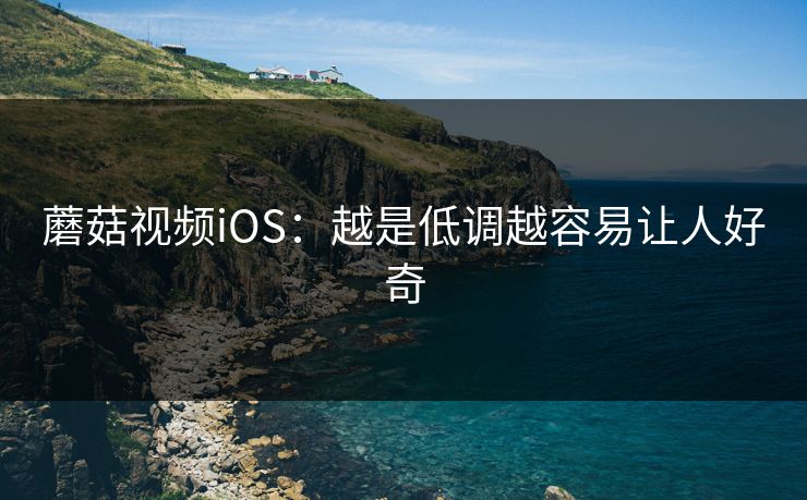 蘑菇视频iOS：越是低调越容易让人好奇  第1张