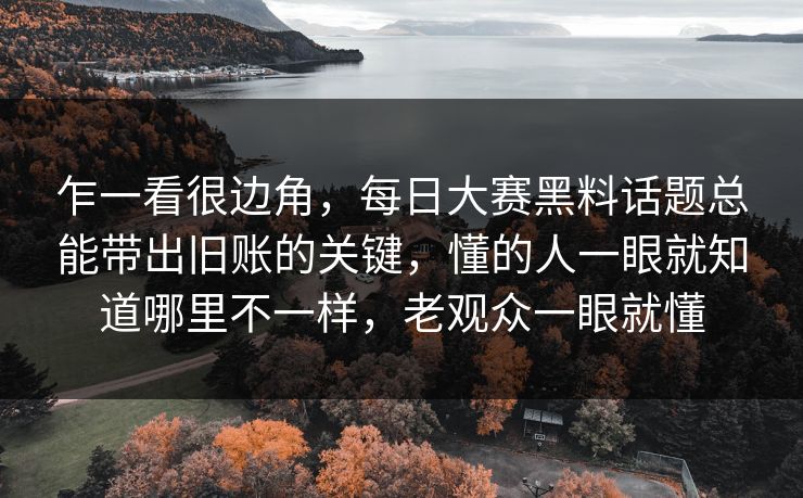 乍一看很边角，每日大赛黑料话题总能带出旧账的关键，懂的人一眼就知道哪里不一样，老观众一眼就懂  第1张