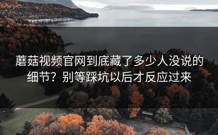 蘑菇视频官网到底藏了多少人没说的细节？别等踩坑以后才反应过来  第1张
