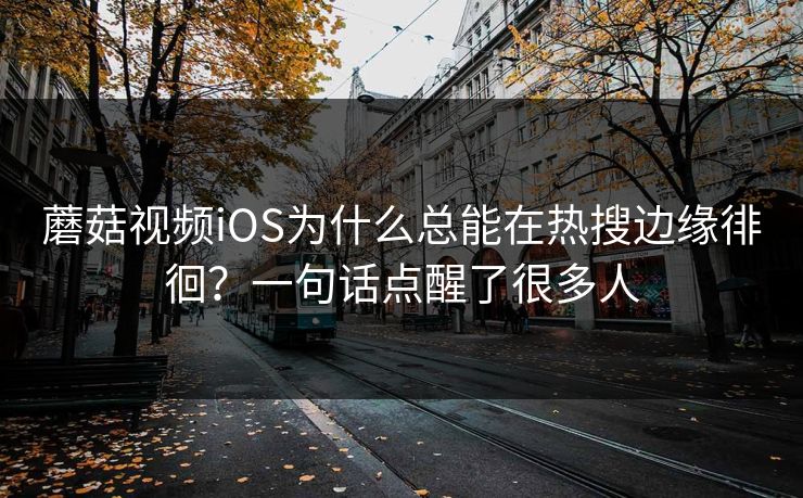 蘑菇视频iOS为什么总能在热搜边缘徘徊？一句话点醒了很多人  第1张