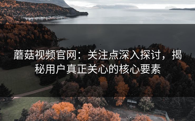 蘑菇视频官网：关注点深入探讨，揭秘用户真正关心的核心要素  第1张