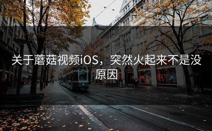关于蘑菇视频iOS，突然火起来不是没原因