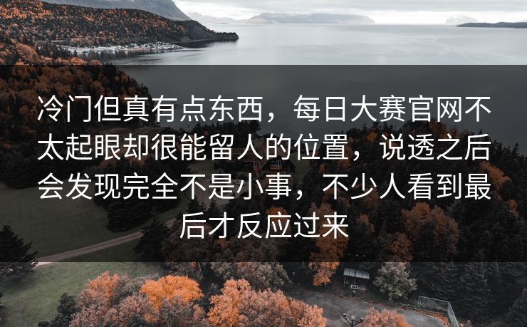 冷门但真有点东西，每日大赛官网不太起眼却很能留人的位置，说透之后会发现完全不是小事，不少人看到最后才反应过来  第1张